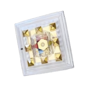 VIP fortune fire