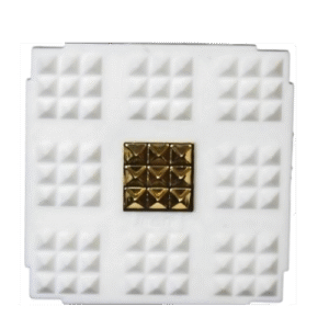 Fortune Chip