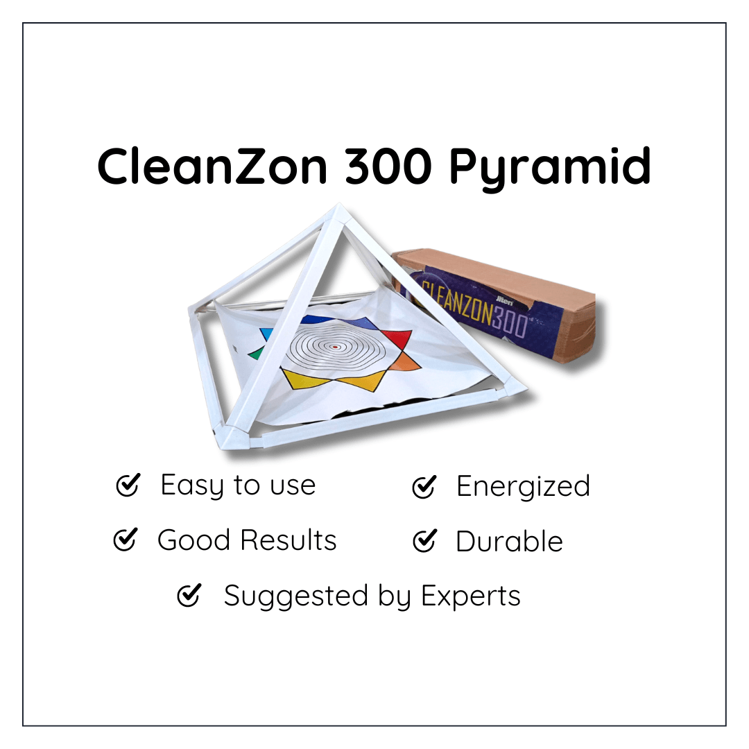 Cleanzon 300