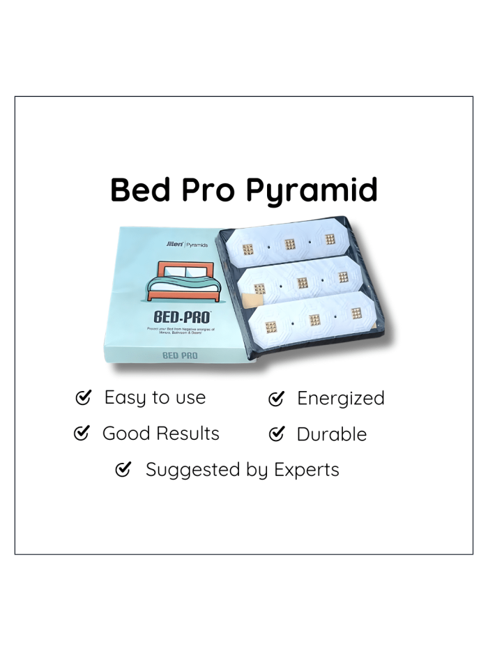 Bed Pro