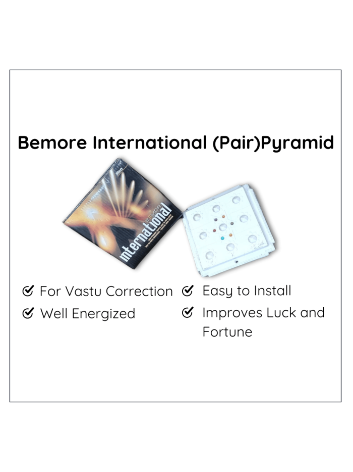 Bemor International